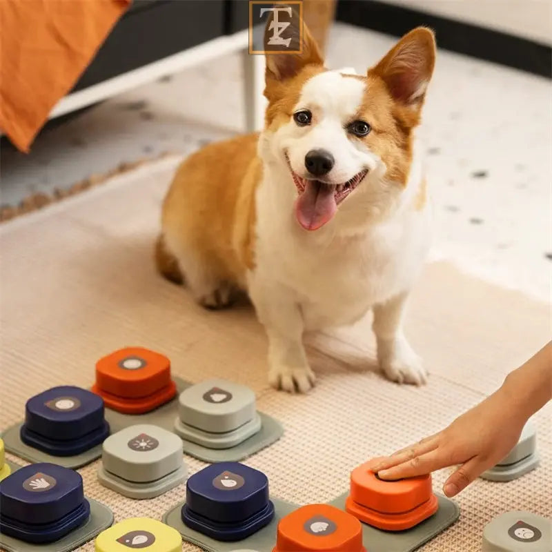 4 Colors Pet Communication Button One-click Prevent Physical Inactivity Recordable Dog Talking Button Toy Cat Toy Pet Products