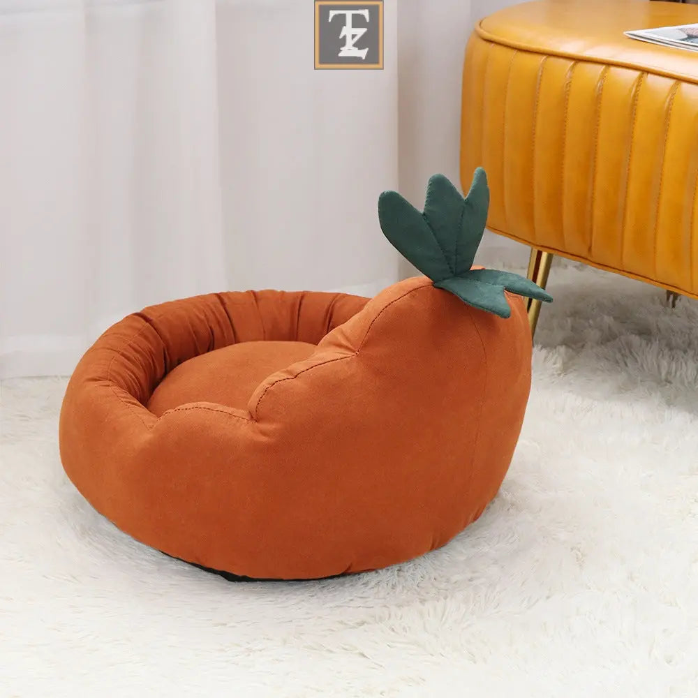 Carrot color Pet Mat