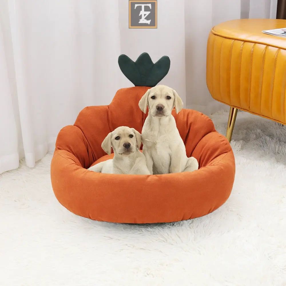 Carrot color Pet Mat