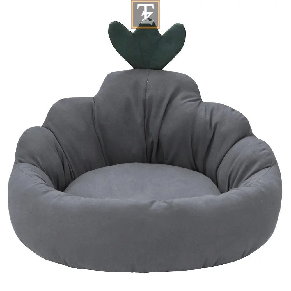 Carrot color Pet Mat
