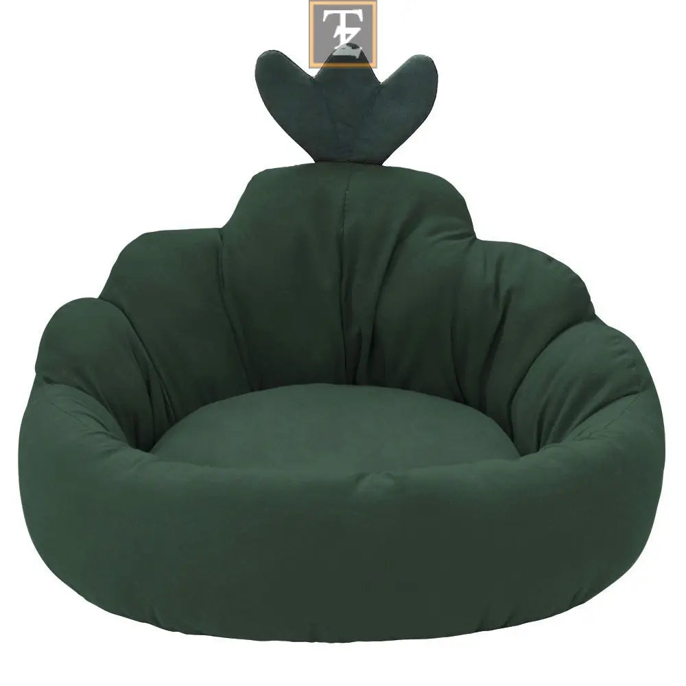 Carrot color Pet Mat
