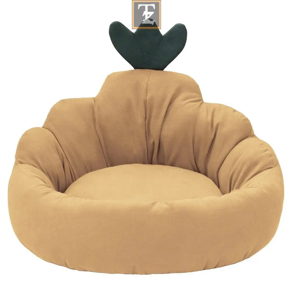 Carrot color Pet Mat