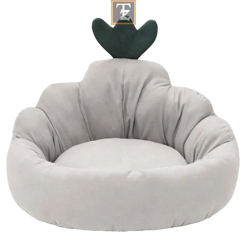 Carrot color Pet Mat