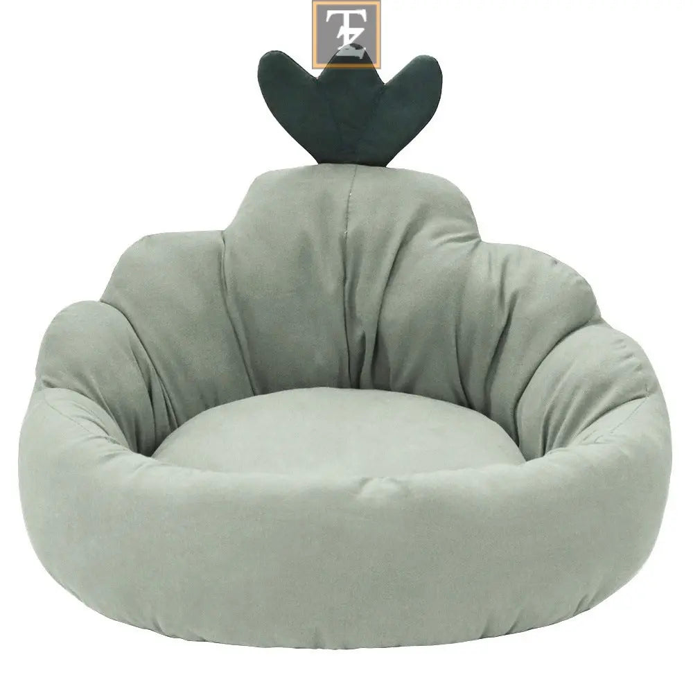 Carrot color Pet Mat