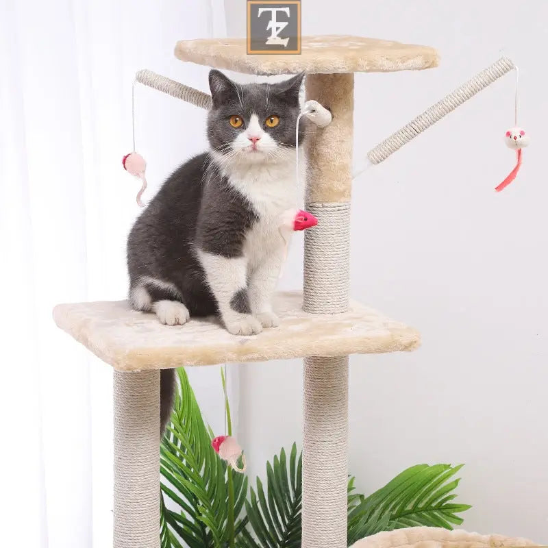 Cat Climber Cat House