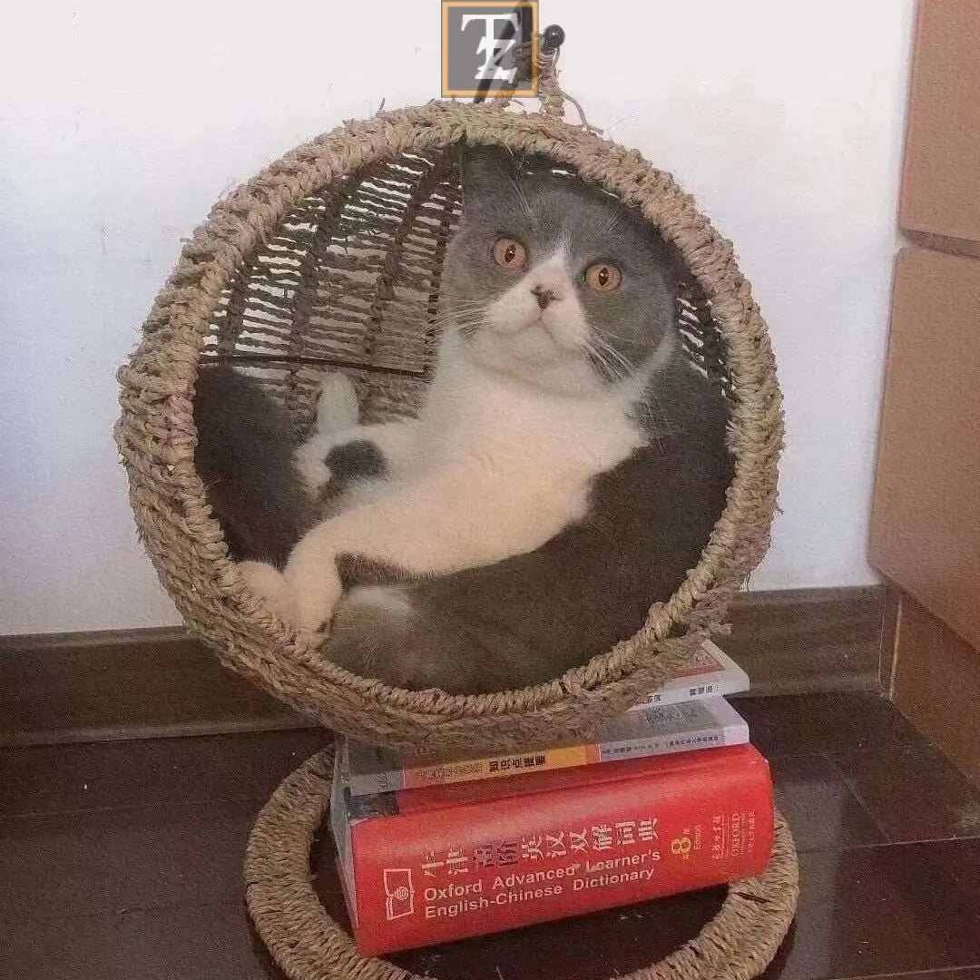 Pet Cat Litter Round Semi-enclosed Opening Cat Hanging Basket