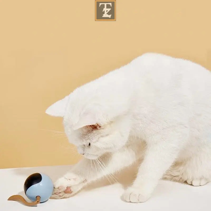Pet Smart Interactive Colorful LED Rotating Ball