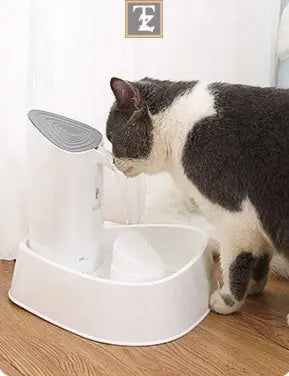 Pet dog water dispenser cat water dispenser