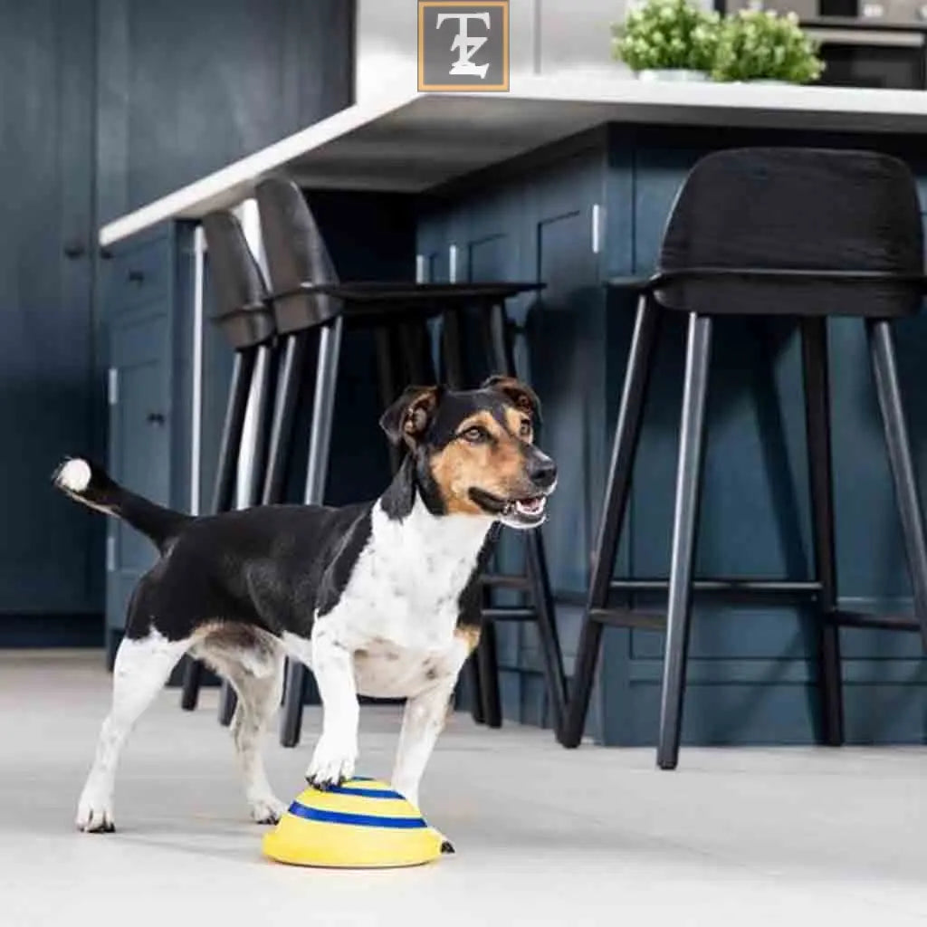 Sounding Disc Woof Glider Soft & Safe Indoor Pet Dogs Play Toy Pets Unique Interacts Entertainment Toys