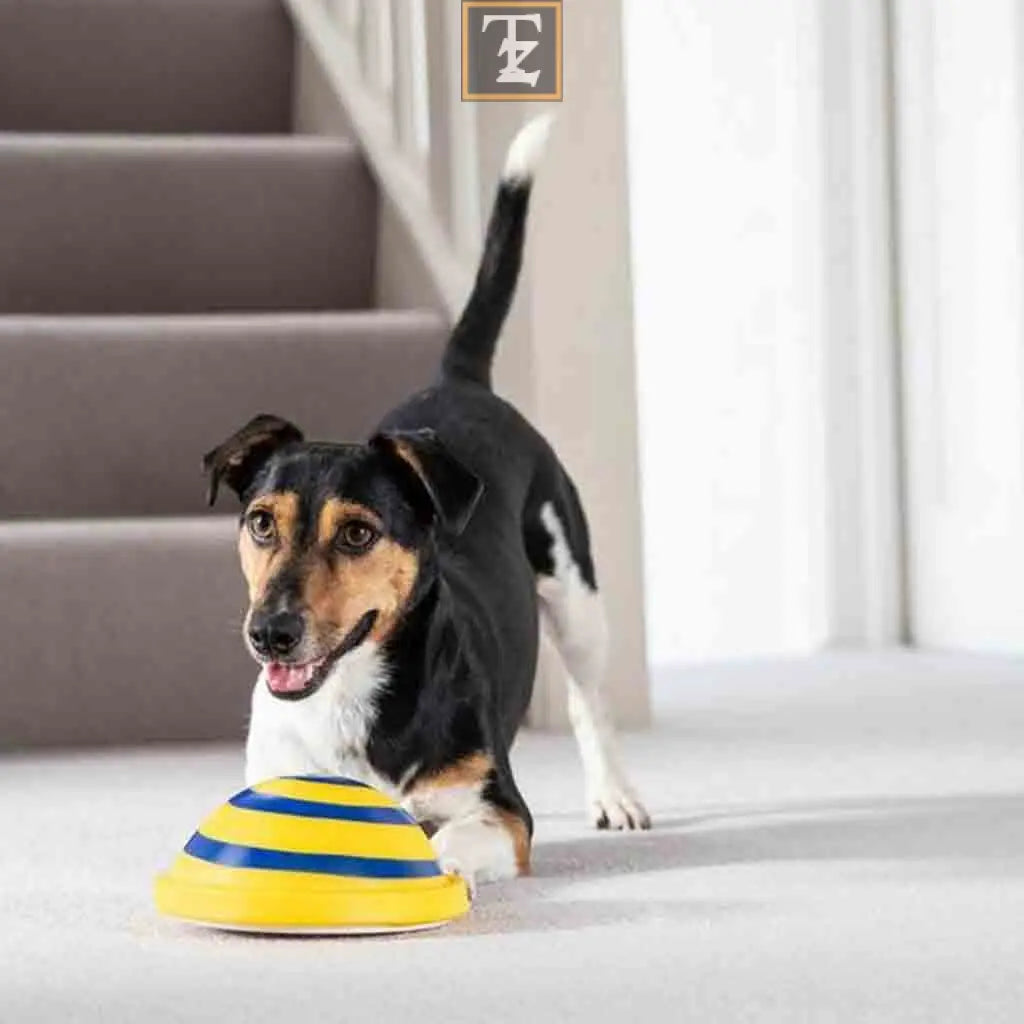 Sounding Disc Woof Glider Soft & Safe Indoor Pet Dogs Play Toy Pets Unique Interacts Entertainment Toys