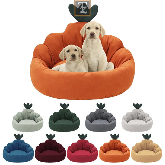 Carrot color Pet Mat 
