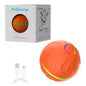 Intelligent Gravity Bouncing Ball Dog Toy Ball TEZZONMAART