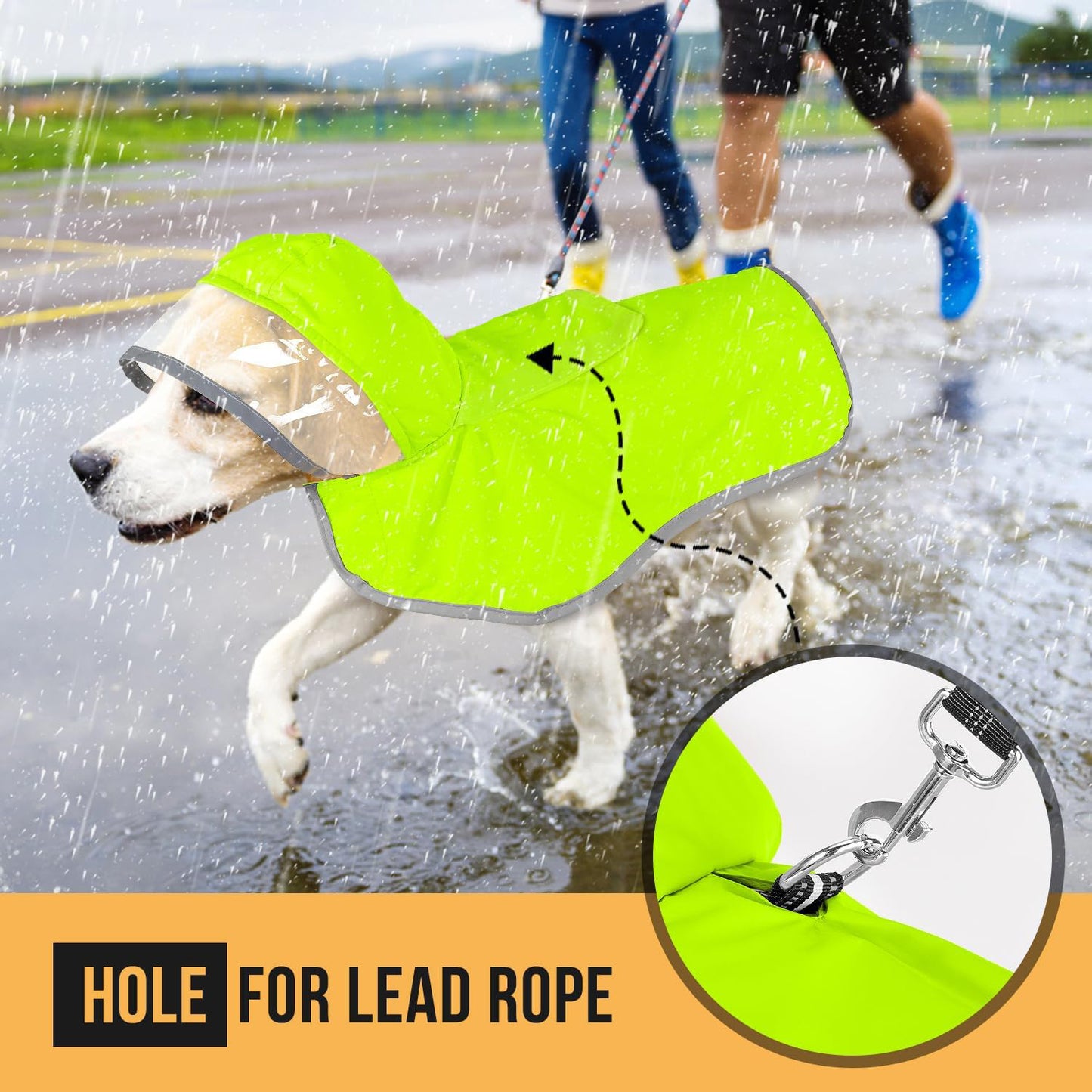 Impermeabile per cani Impermeabile morbido traspirante Giacca antipioggia per cani di piccola taglia Cappotto antipioggia con cappuccio per cani con cappuccio trasparente Protegge la pancia