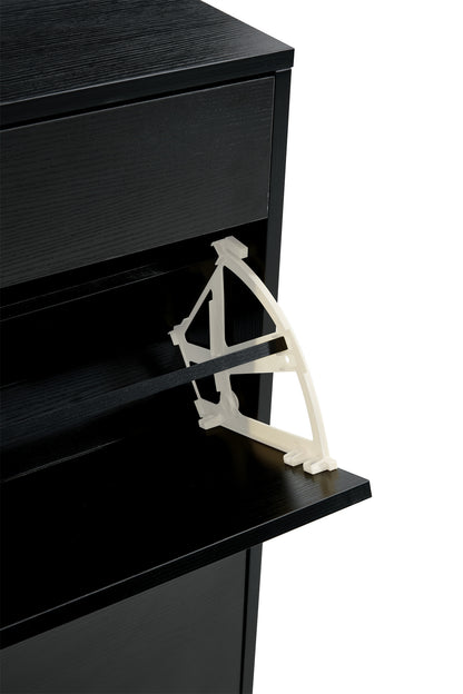Shoe Cabinet , Shoe Storage Shelves, Black